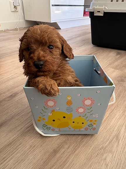 Product image 3 of 4