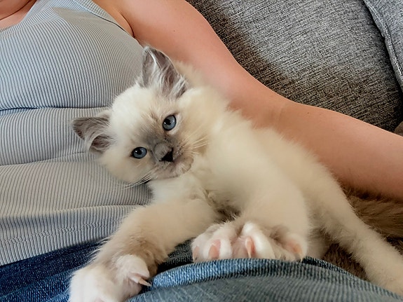 Product image 4 of 7