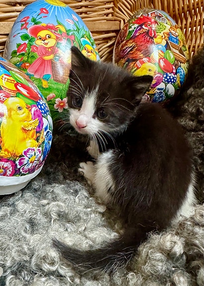 Product image 3 of 8