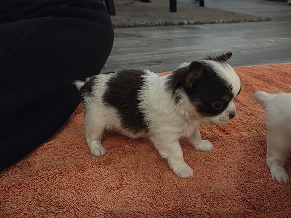 Product image 3 of 9