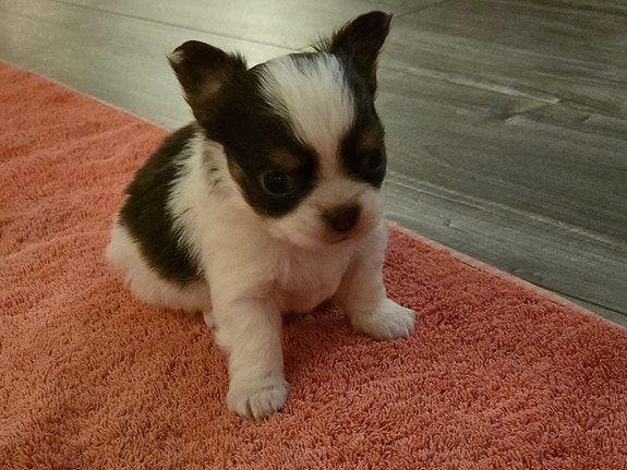 Product image 4 of 9