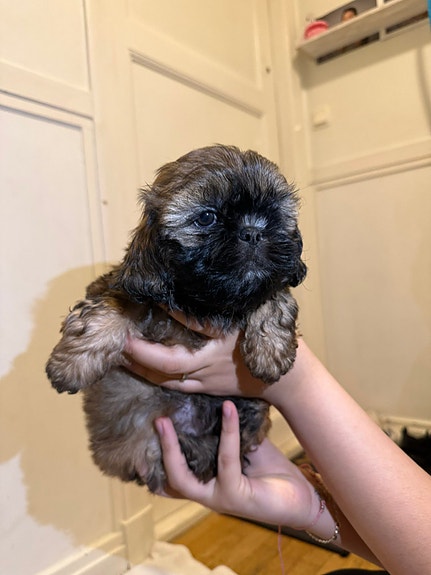 Product image 3 of 10