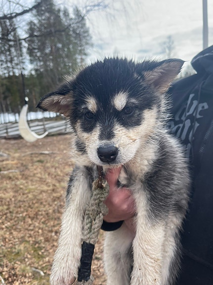 Product image 4 of 7