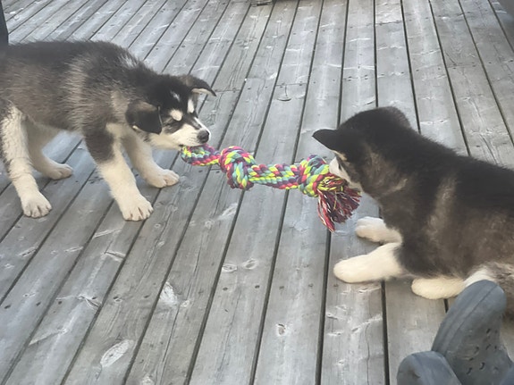 Product image 8 of 8