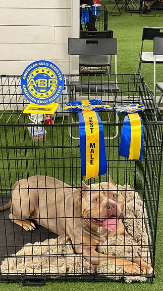 Product image 3 of 7