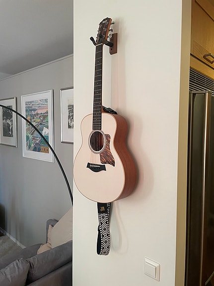 Taylor GS Mini-e Special Edition
