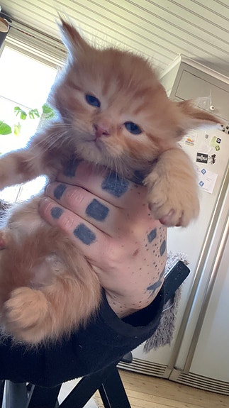 Product image 6 of 8