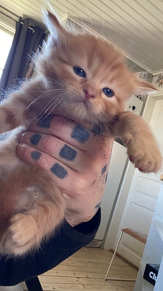 Product image 5 of 8