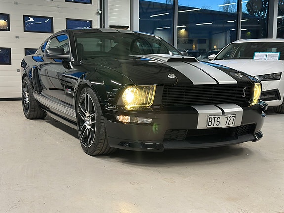 Shelby Mustang