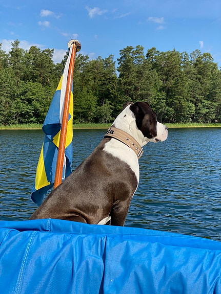 Oxelö27 10 of 11