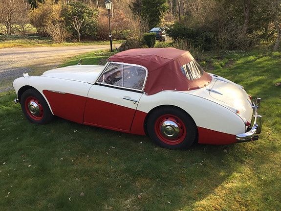 Austin Healey 100 6 of 7
