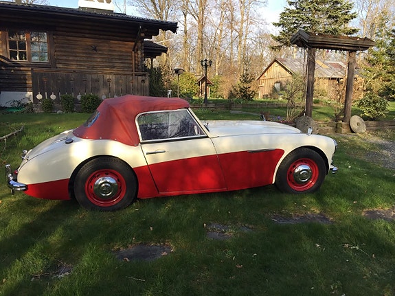 Austin Healey 100 2 of 5