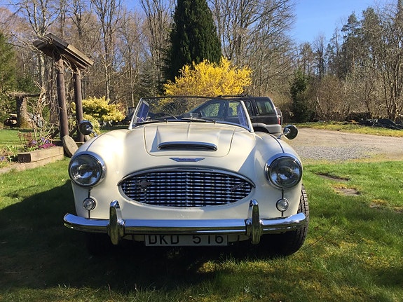 Austin Healey 100 4 of 5