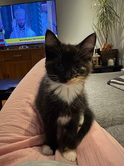 Product image 3 of 8