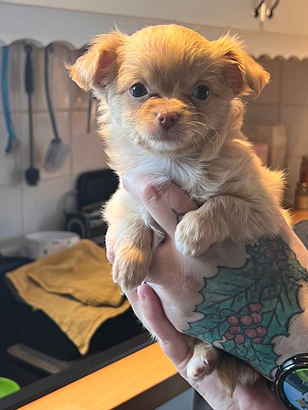 Product image 6 of 9