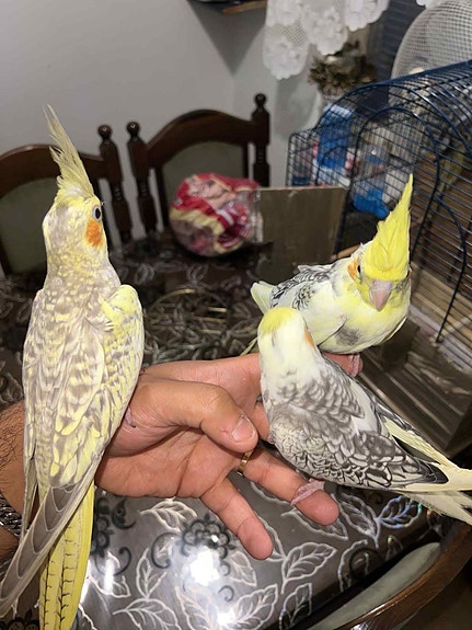 Product image 3 of 6