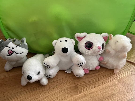 Product image 2 of 10