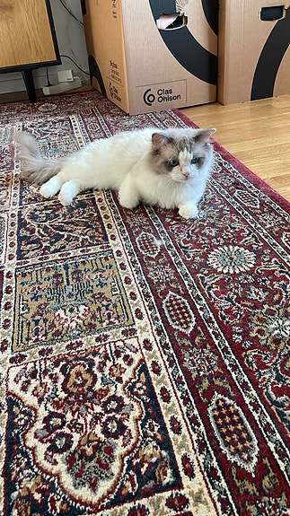 Product image 10 of 10