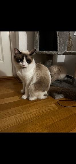 Product image 6 of 9