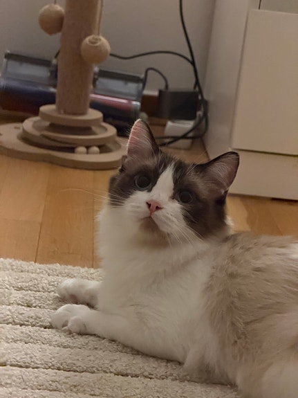 Product image 4 of 9