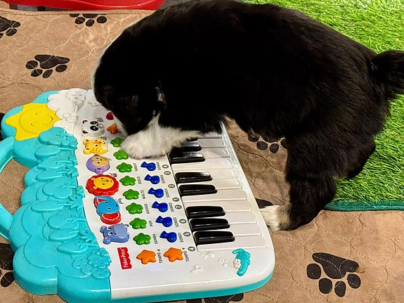 Product image 9 of 10