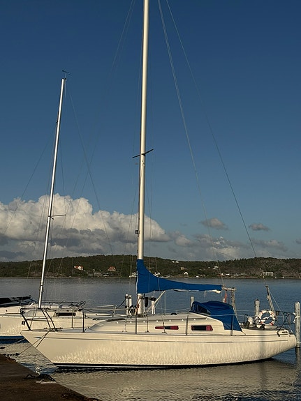 COMFORT 30 — View photo 1