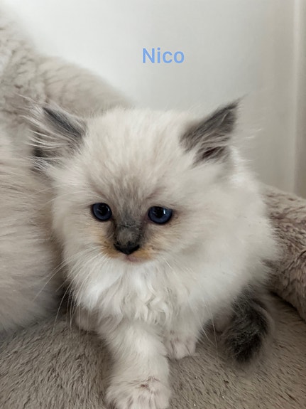 Product image 4 of 7