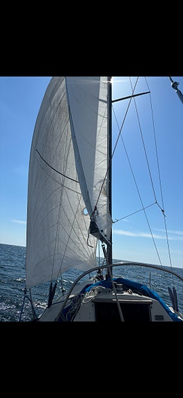 Maxi 77 3 of 8