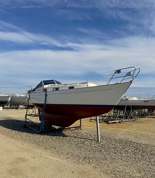 Hallberg Rassy Monsun 31 4 of 5