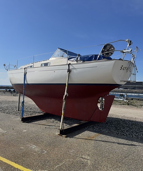 Hallberg Rassy Monsun 31 6 of 12