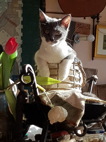 Product image 2 of 8