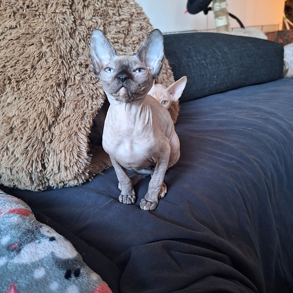 Product image 3 of 6