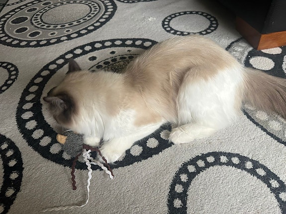 Product image 10 of 10