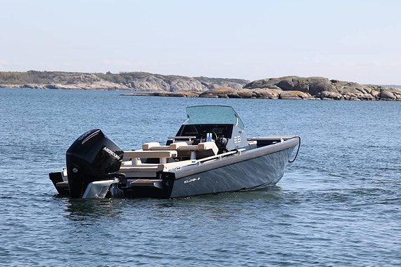 Goldfish 23 Tender Mercury V8 300hk