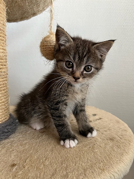 Product image 5 of 5