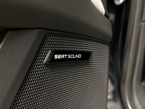 Seat Leon 6 of 22