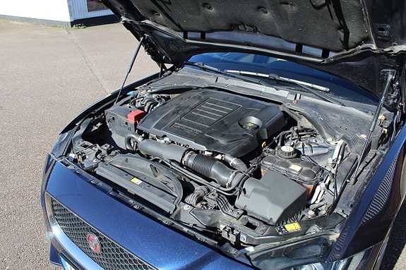 Jaguar XE 7 of 7
