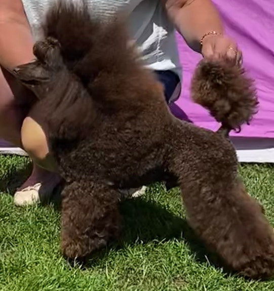 Product image 7 of 9