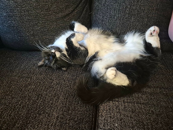 Product image 3 of 9