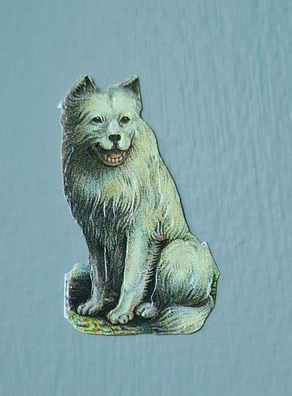 Product image 5 of 10