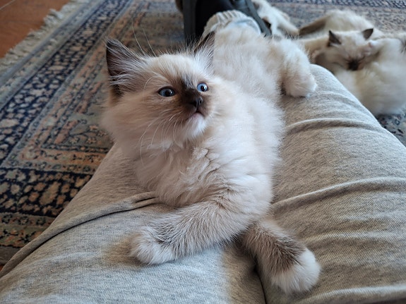 Product image 5 of 5