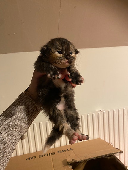 Product image 8 of 8