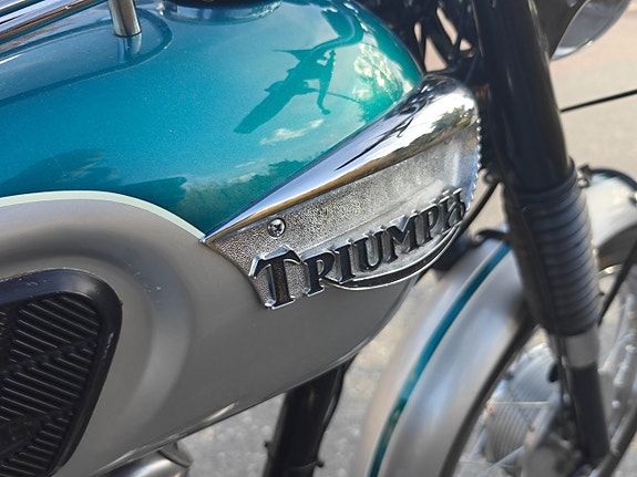 Triumph Tiger T 100S 19 of 23