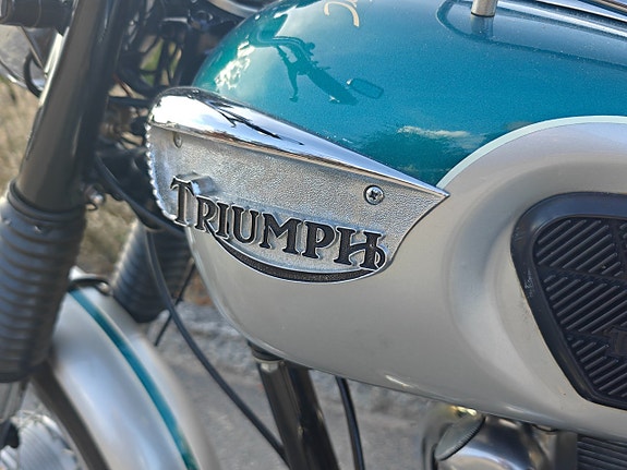 Triumph Tiger T 100S 13 of 23