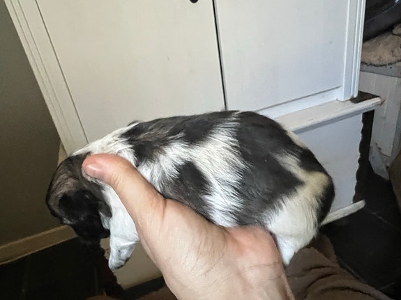 Product image 5 of 9