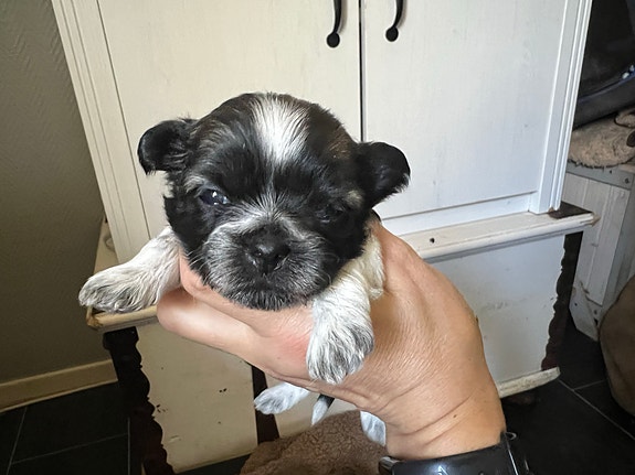 Product image 4 of 9