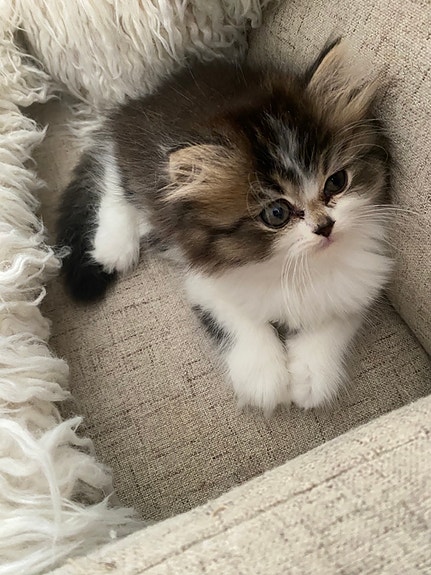 Product image 18 of 27