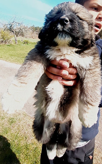 Product image 6 of 10