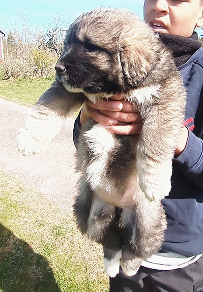 Product image 3 of 10