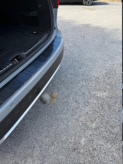 Volvo V90 Cross Country 7 of 10